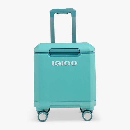 tag-along-too-spinner-cooler-q2 00033184-F1_b51e854c-365a-4272-b384-7c3dd41ac0b8.jpg